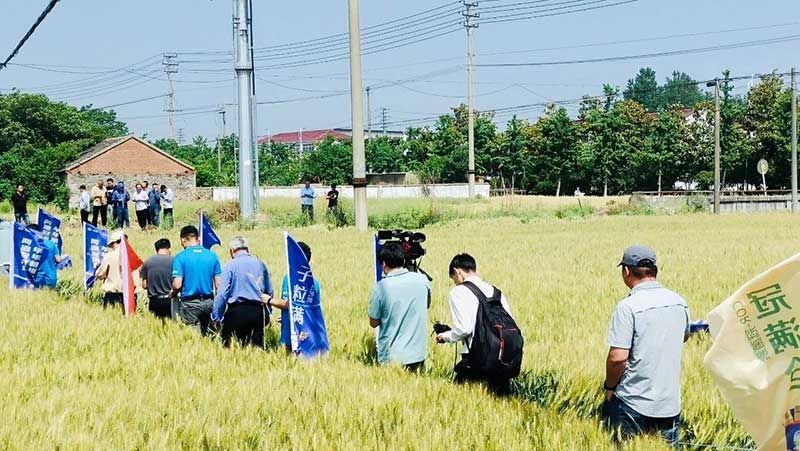 520健康植保日——擁抱綠色農(nóng)業(yè)，我們在行動