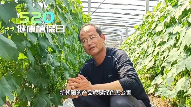520健康植保日——擁抱綠色農(nóng)業(yè)，我們在行動