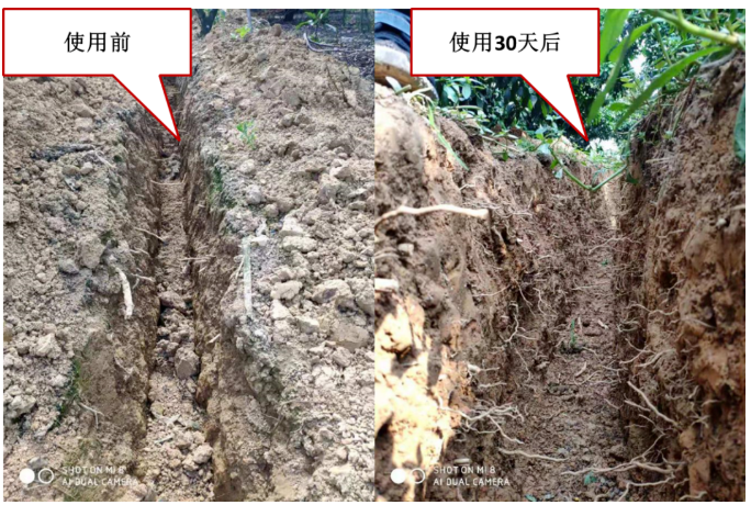 “土壤板結(jié)克星”：土壤調(diào)理劑你了解多少？