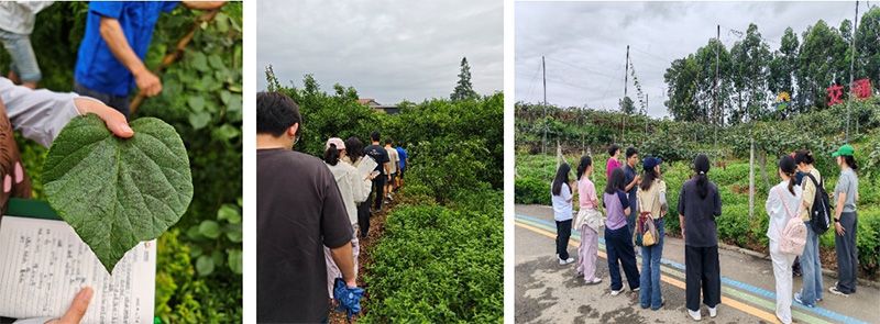 首個(gè)！中國(guó)農(nóng)業(yè)大學(xué)攜手新朝陽(yáng)啟動(dòng)“朝陽(yáng)稼穡計(jì)劃”